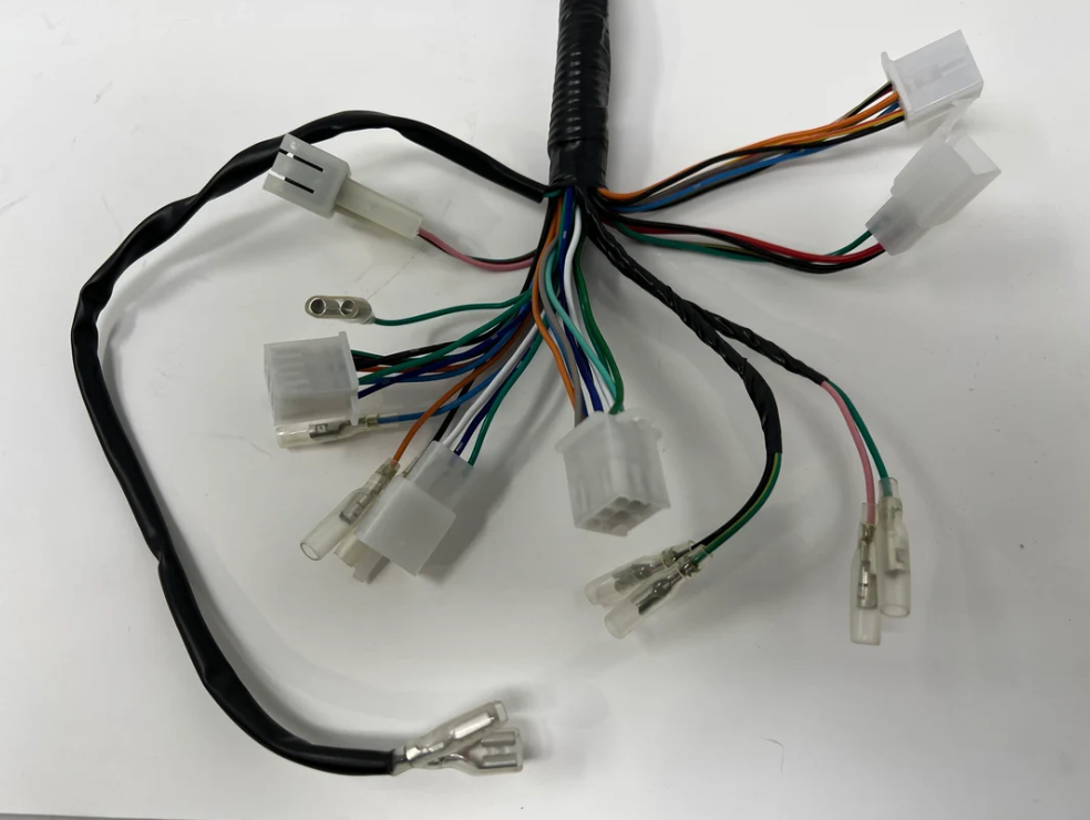DF250RTG Sportster 250cc Main Wiring Harness 08010137 - view 3