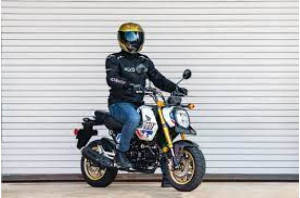 Why Is the Honda Grom So Popular?