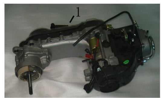 Things You Need To Know Before Purchasing ICEBEAR 50CC Automatic Engine