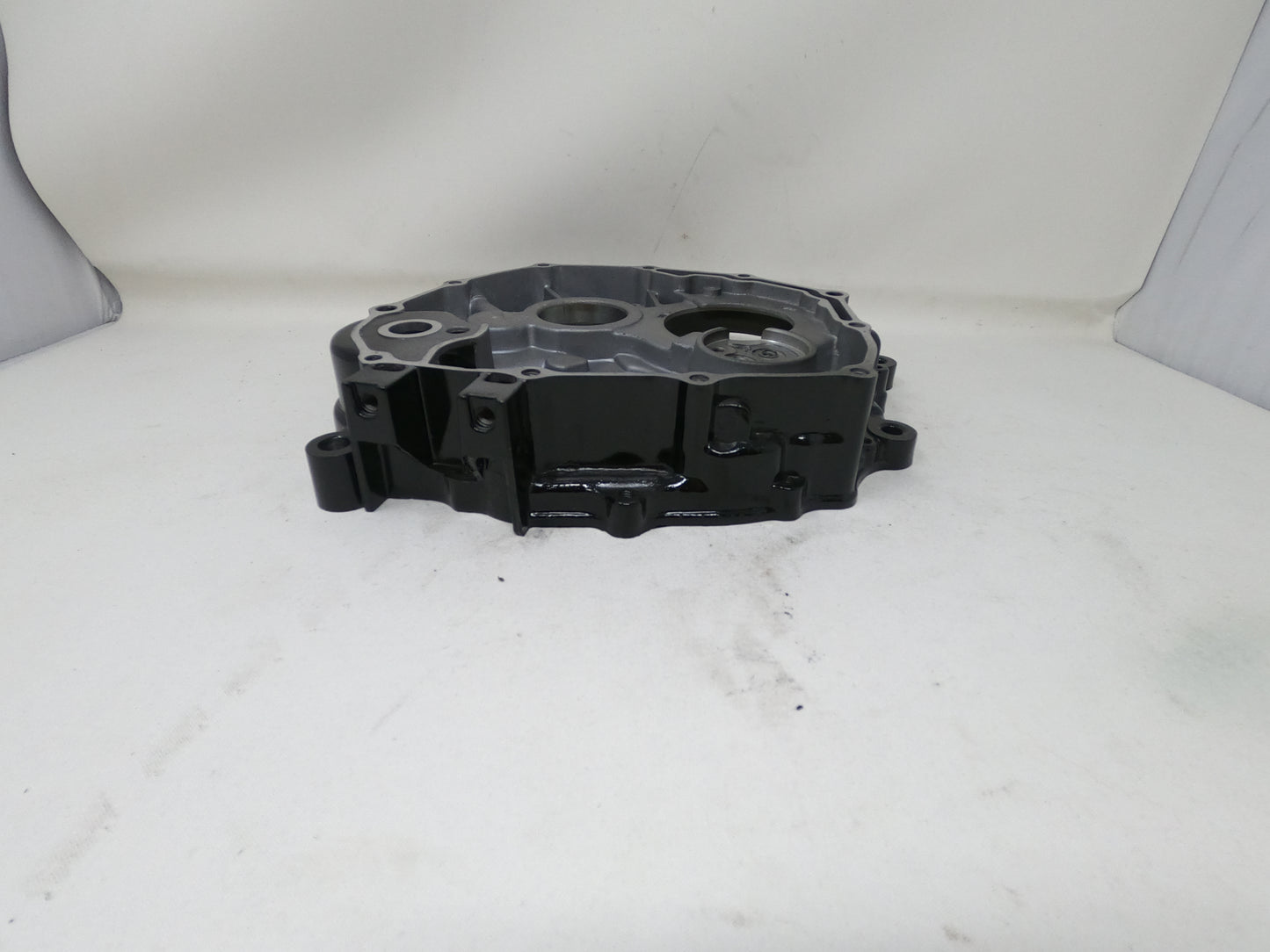 DF250RTS Venom X22R OEM right crankcase cover