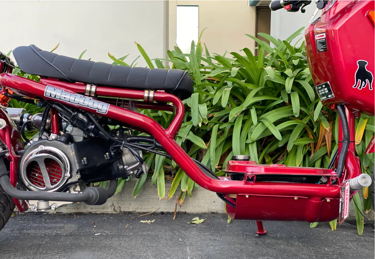 PMZ150-21 commuter scooter | Icebear Maddog Gen 4 150cc Ruckus clone ride