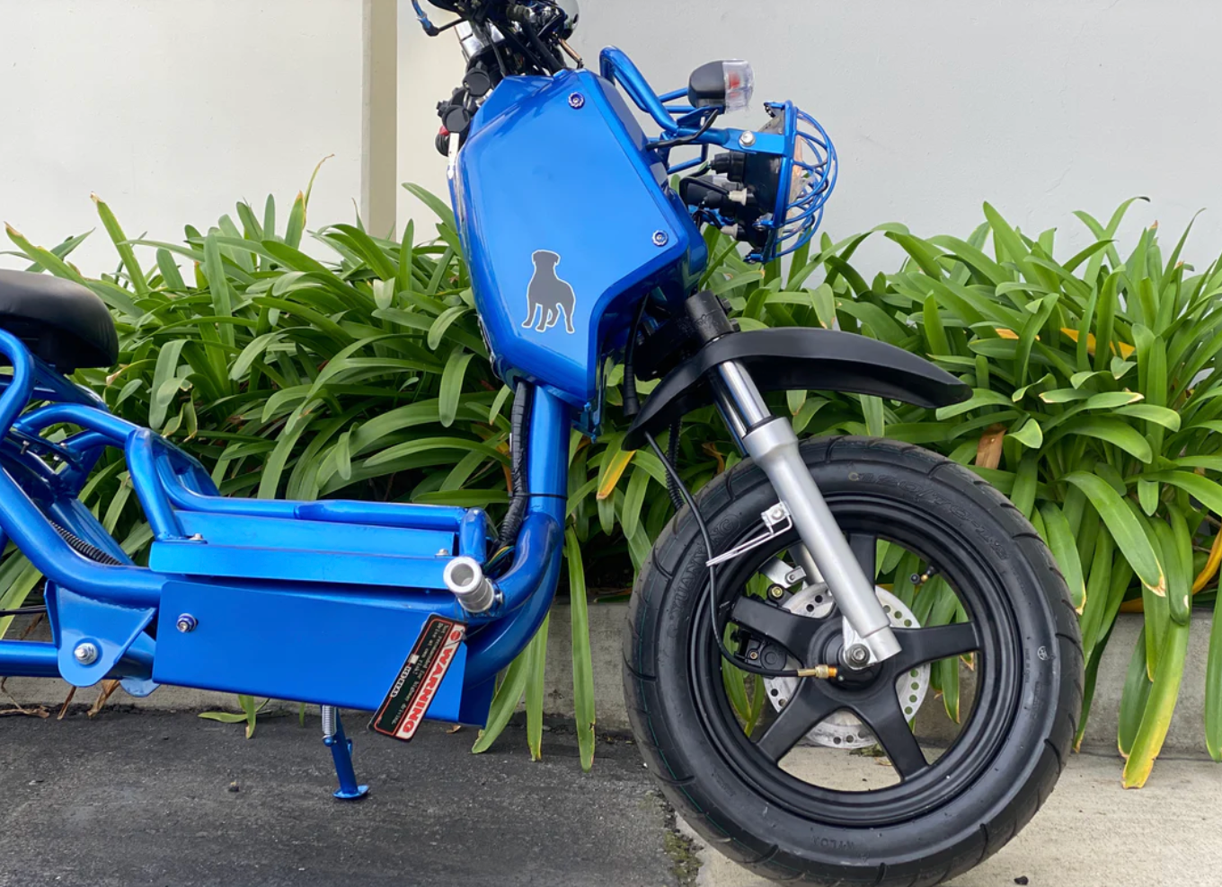 150cc Icebear Maddog scooter | PMZ150-19 Gen 1 Honda Ruckus inspired moped