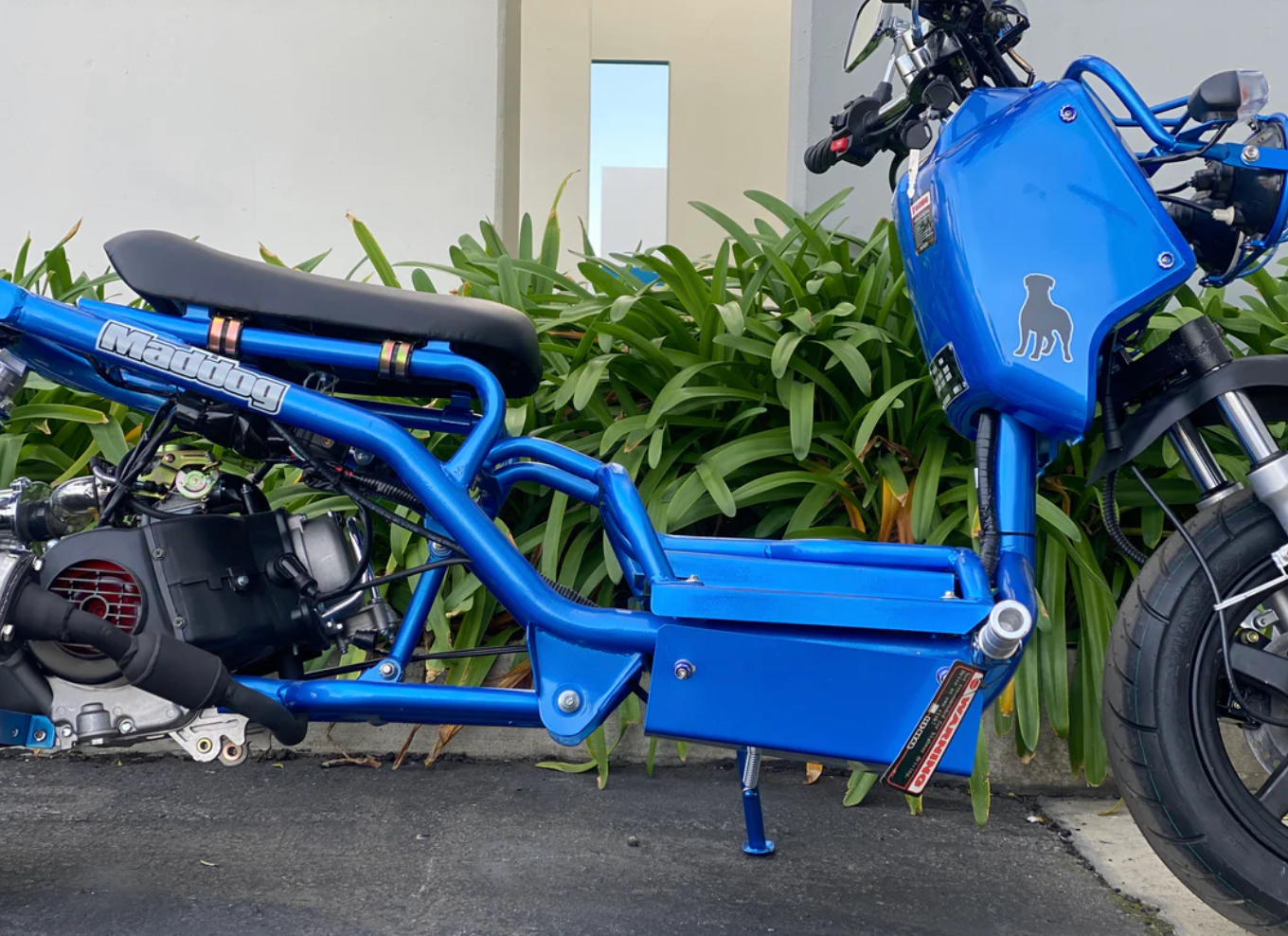Icebear Maddog 50cc scooter Gen 1 | PMZ50-19 compact Ruckus clone bike