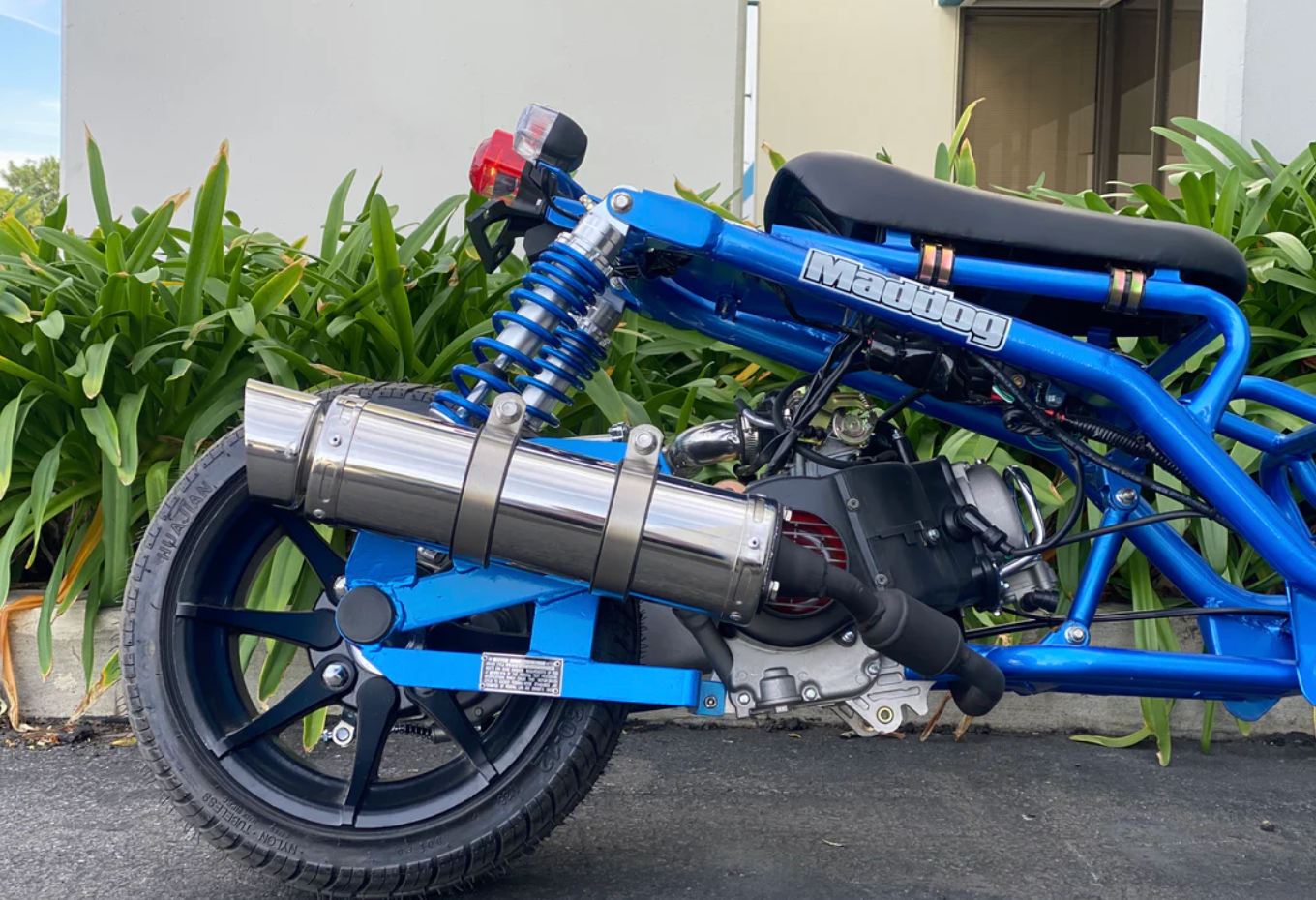 Icebear Maddog 50cc scooter Gen 1 | PMZ50-19 compact Ruckus clone bike