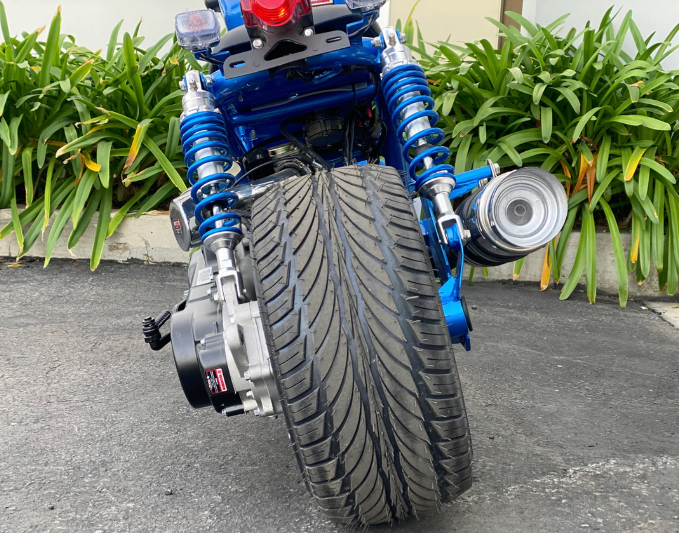 PMZ50-19 street scooter 50cc | Icebear Maddog Gen 1 Honda Ruckus inspired