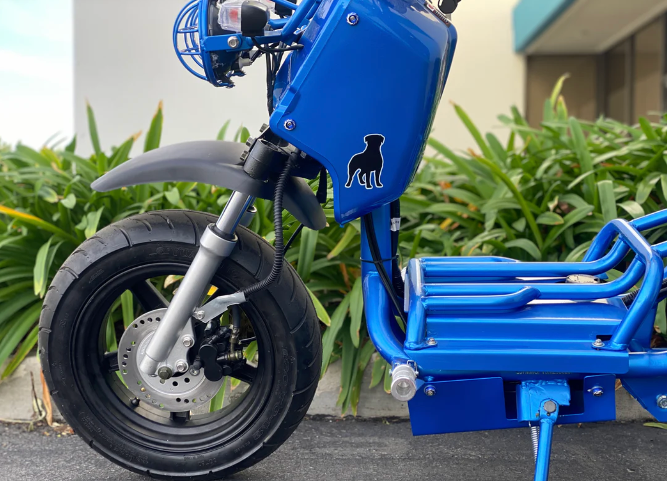 Icebear Maddog Gen 1 PMZ50-19 | 50cc scooter Ruckus style street legal ride