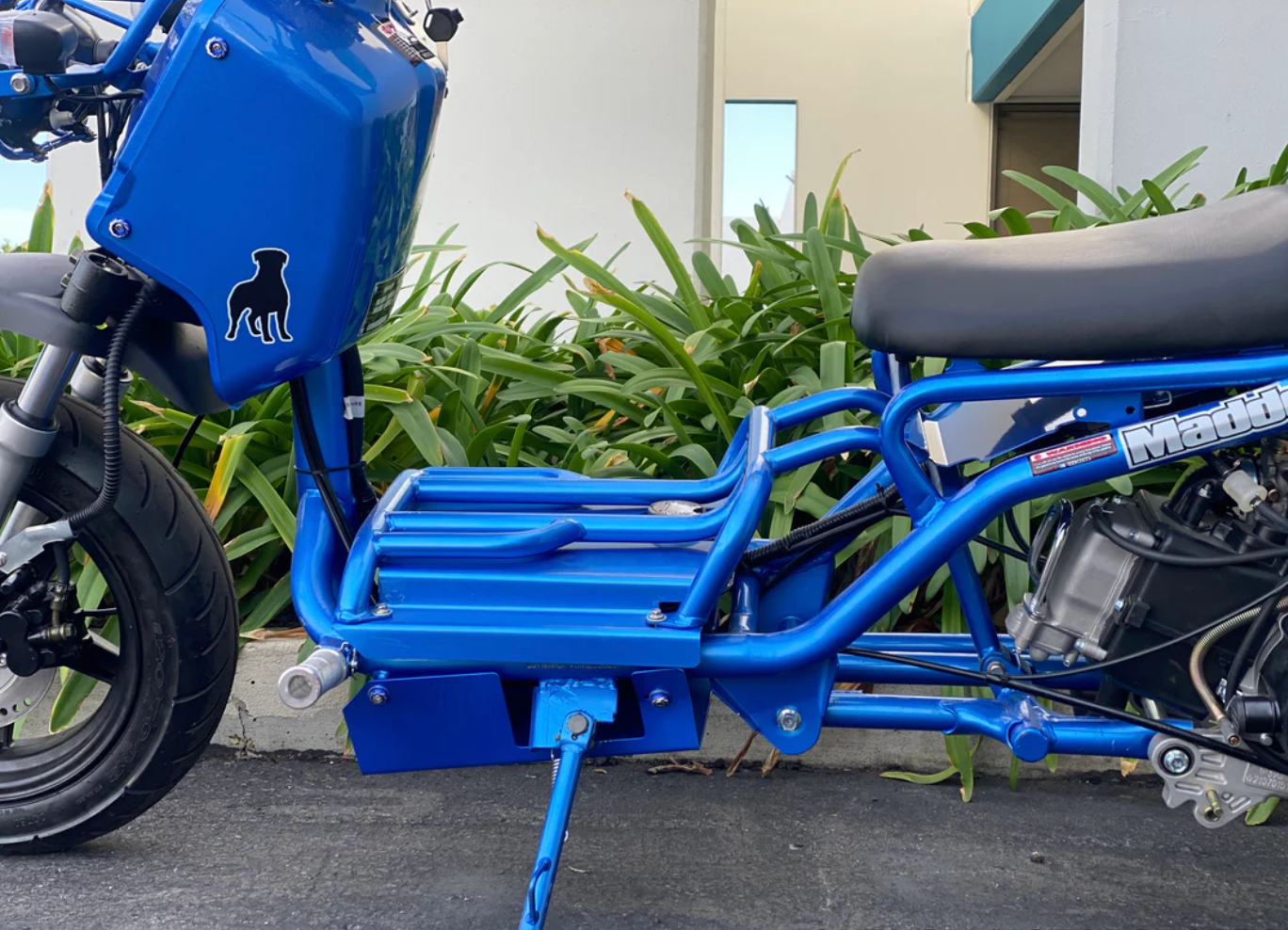 Icebear Maddog Gen 1 PMZ50-19 | 50cc scooter Ruckus style street legal ride