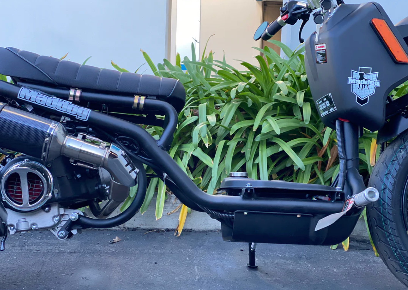 PMZ150-22 Gen 5 scooter | Icebear Maddog 150cc Ruckus style urban moped