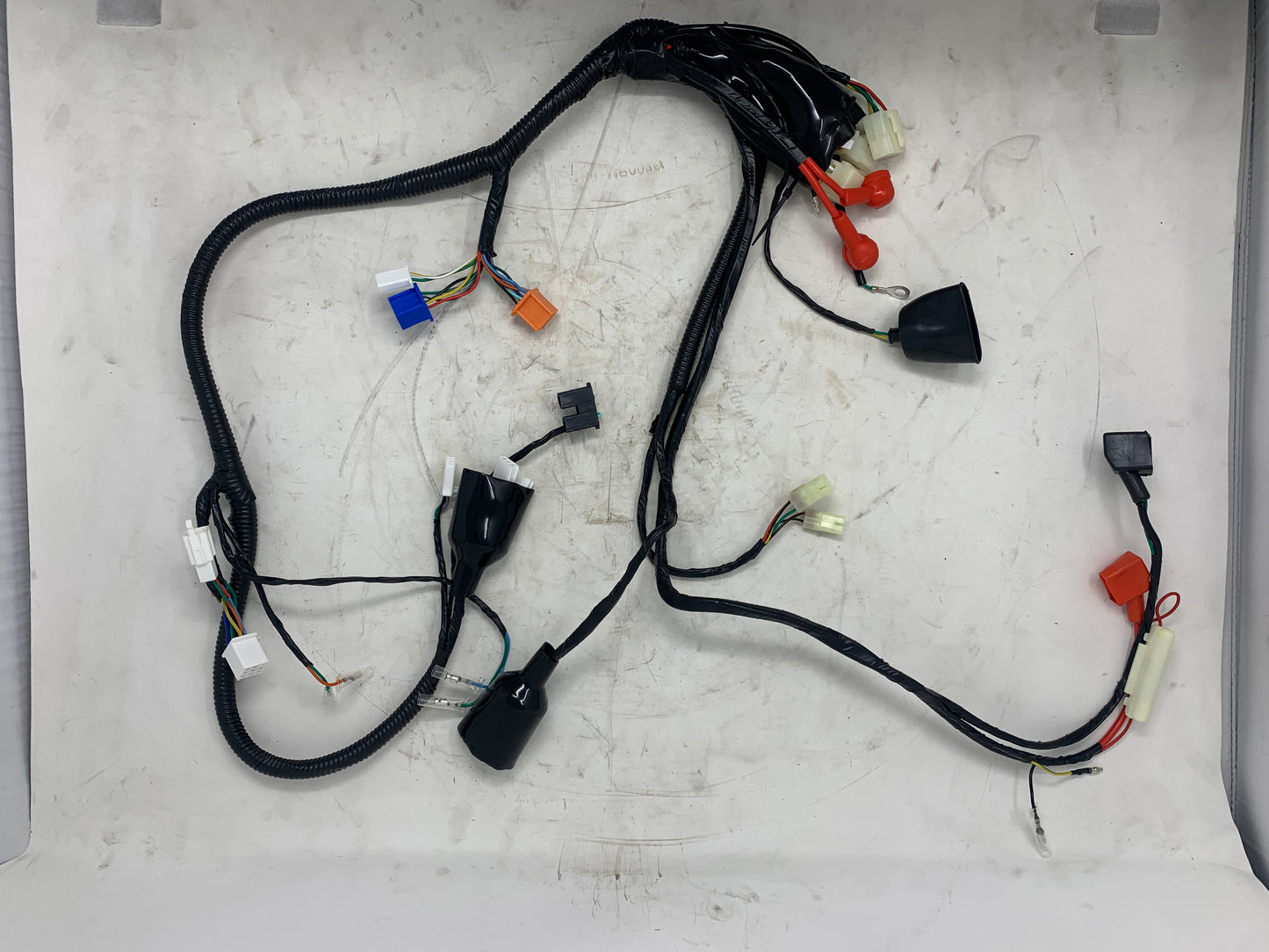 Wiring harness for DF50SST Venom X18 50cc motorcycle