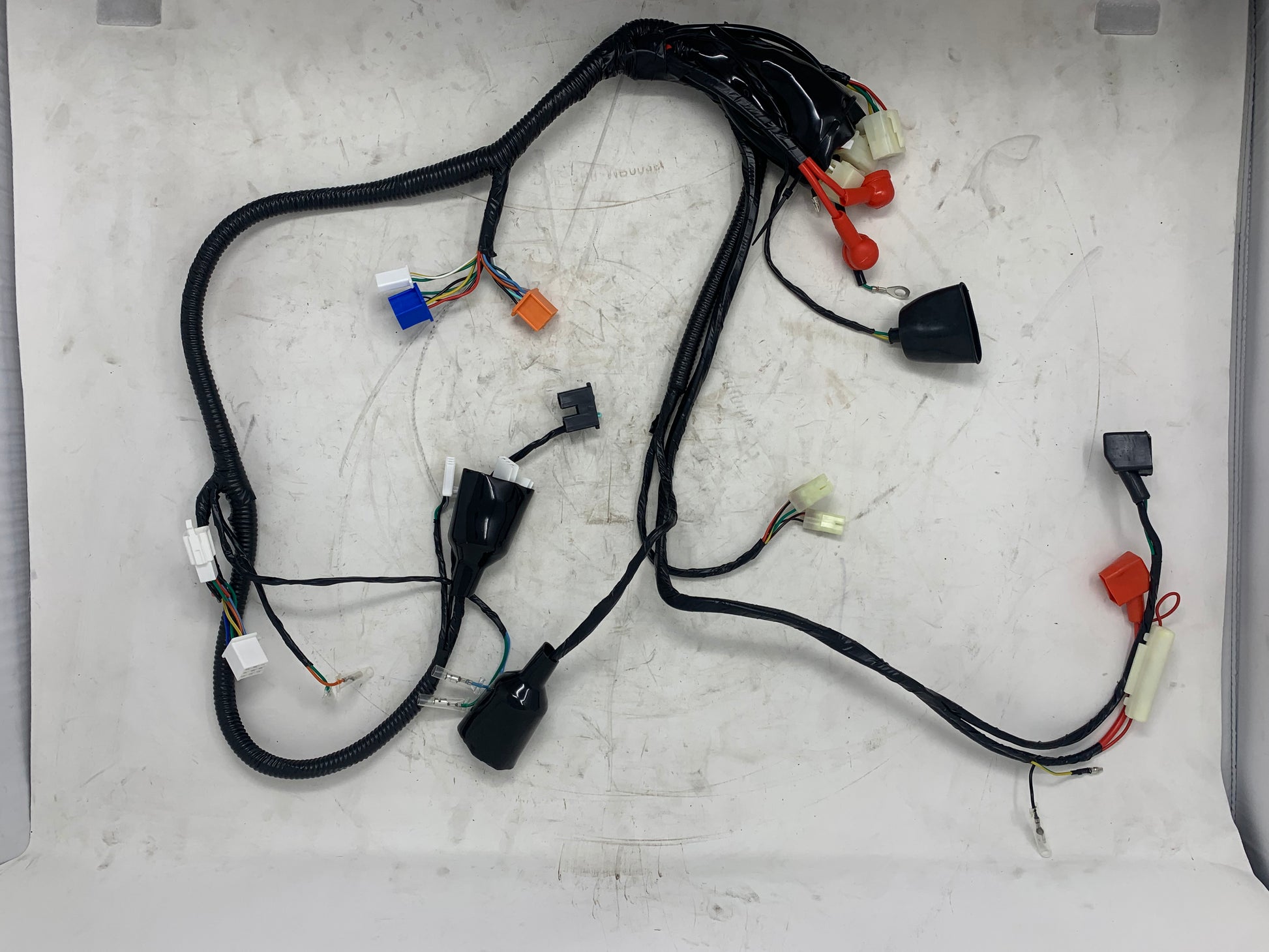 Wiring harness for DF50SST Venom X18 50cc motorcycle