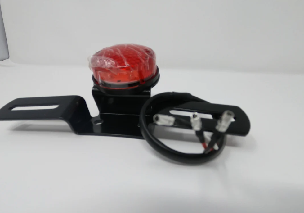 DF250RTG Sportster 250cc Tail Light with License Plate Bracket 09030083 - view 2