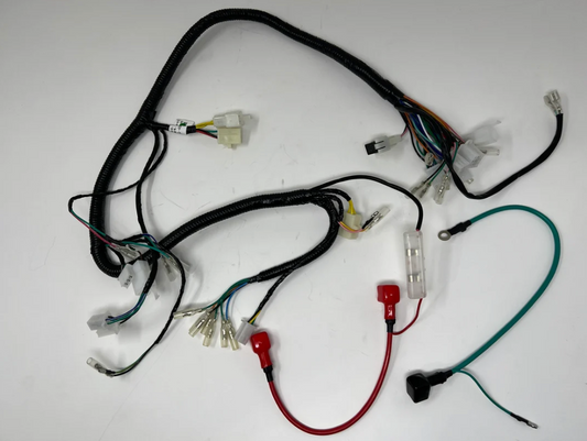 DF250RTG Sportster 250cc Main Wiring Harness 08010137 - view 1