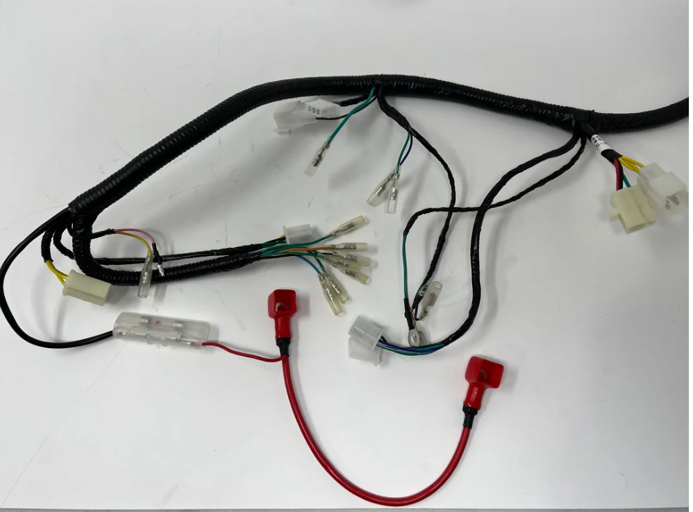 DF250RTG Wiring Harness 08010137 | Sportster 250cc OEM Electrical Loom