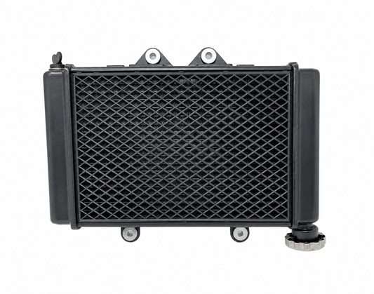 Falcon YN250 / YN250T-5 Venom X22GT 250cc radiator assembly, front view of protective grille, part YY350-6E-2101009