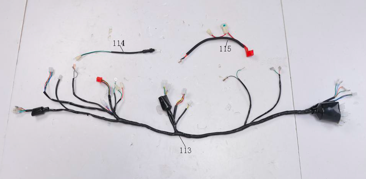 Wiring Harness for BD125-11 | Venom X22 125cc Complete Wiring Harness